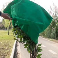 Cubierta De Plantas Invierno Calor Protección Contra Heladas Para Árboles Y Macizos Jardín Patio Blanco Tela No Tejida Adecuada Para Protección Fría - details 3