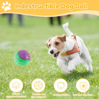 Juguetes Interactivos Para Perros 6Pcs Bolas Sonoras De TPR Masticables Resistentes Al Mordisco Para Limpieza De Dientes Y Entretenimiento - details 0