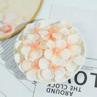 50Pcs Pétalos De Cerezo Artificiales De Seda Para Decoración De Casamiento Fiesta Hogar DIY Scrapbook Tarjeta Artesanía - details 8