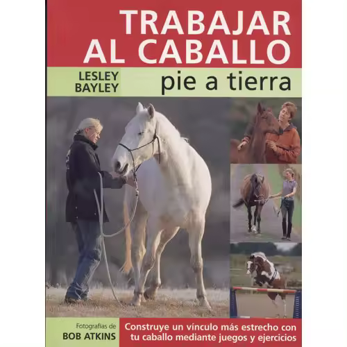 LIBRO TRABAJAR AL CABALLO PIE A TIERRA - 1