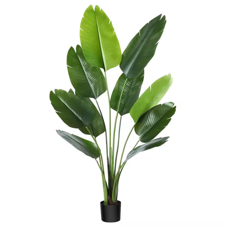 Planta Artificial Ave del Paraíso 120CM-170CM  SHUANG ZHI  Palmera Tropical con 9-10 Hojas Maceta para Interior Casa Hogar Oficina Jardín Decoración Moderna - 1