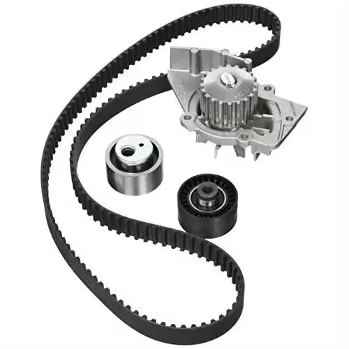 Contitech CT987WP2 Correa de Distribución para Automóvil - Alta Calidad - 1