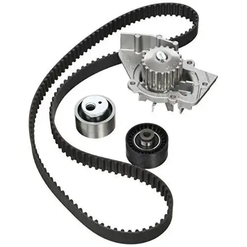 Contitech CT987WP2 Correa de Distribución para Automóvil - Alta Calidad - 1