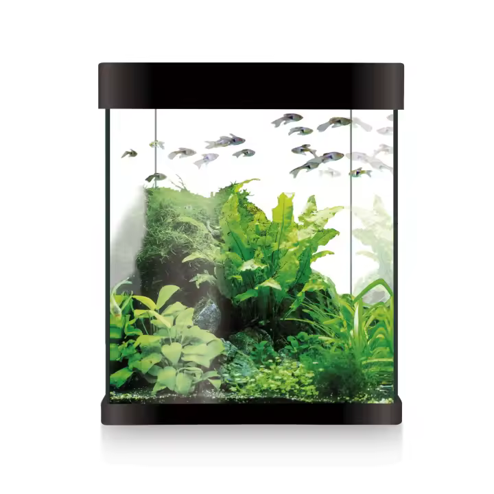 Acuario ICA KIT NANO AQUALED 10 LITROS negro - 1