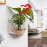 Acuario De Acrílico Para Pared Tanque De Pez Betta Y Exhibición Productos Para Mascotas Aquaticas Montaje En Pared - details 0