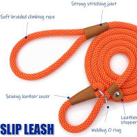 Correa Y Collar De Nylon Duradero Para Perros Medio Y Grande 2 En 1 Ajustable Cómodo Con Anillo De Solución Para Mascotas - details 2
