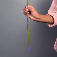 Planta Artificial De Tamaño Grande Codiaeum Falso 80-120cm Ficus Fiddle Hojas De Plantas Tropicales Para Decoración Del Hogar Material De Seda Origen China - details 12