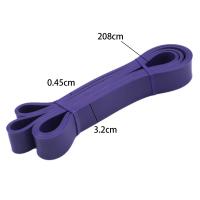 Banda De Resistencia Elástica Para Ejercicio Expander Stretch Band De Fitness Para Auxiliar En Pull up Y Entrenamiento De Pilates En Casa Gimnasio - details 13