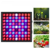 Luz De Crecimiento Para Plantas LED De 200W Espectro Completo Para Invernadero Jaula De Crecimiento Hidroponía Suculentas Flores Frutas Vegetales Iluminación Complementaria - details 5