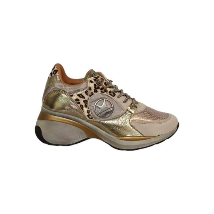 Cetti 1376 - 1