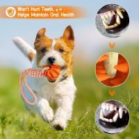 Bola De Juguete Para Perros Con Correa Resistente Masticadora Y Limpieza De Dientes Juguete Interactivo Anti-Boredom Para Muelas - details 11