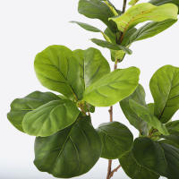 Arbusto De Fico Artificial De 103cm/132cm Gran Hoja De Banyan Falsa Planta De Goma Para Decoración De Jardín Oficina Y Hogar - details 9