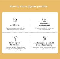 Rompecabezas De Láminas Adulto 1000 Piezas Mini Jigsaw Puzzle Swan Castle Paisaje Beautiful Stress Reducing Juguetes Regalos De Navidad - details 7