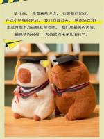Muñeco De Peluche Capybara Con Disfraz De Graduado Regalo Commemorative Para Estudiantes Con Sombrero Doctoral Juguete De Algodón PP - details 9