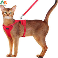 Juego De Correa Y Arnes Para Gato Mejorado Antirrueda Ajustable Chaleco Para Caminar Al Aire Libre Con Tirantes Reflectantes Para Noche Oscura - details 2