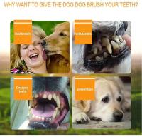 Cepillo De Dientes Para Perros De Silicona Suave Y No Tóxica Herramienta De Cuidado De Los Dientes Y Eliminación Del Aliento Malo Para Mascotas Universales - details 2
