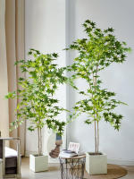 Árbol De Maple Artificial 70-140cm Hojas De Cola De Pollo De Seda Planta Japonesa Falsa Para Decoración De Jardín Y Habitaciones - details 3