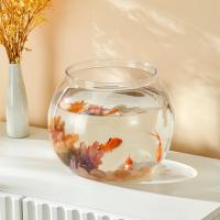 Pequeño Acuario De Vidrio Transparente Para Pequeños Peces Y Reptiles Tanque De Peces Con Buena Visibilidad Estilo De Cuenco - details 0