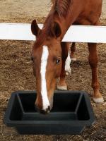 Panza De Alimento Rectangular De 10L Resistente Para Caballos Ganado Doméstico Gatos Cerdos Platos De Alimento Y Agua De Goma De Alta Resistencia Para Animales De Granja - details 1