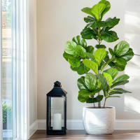 Falsa Hoja De Magnolia Y Ficus 105cm Para Decoración De Jardín Patio Interior Oficina Hoja De Figura Artificial De 41.3 Pulgadas - details 8
