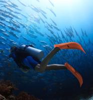 Equipo de snorkel, suministros de buceo, aletas especiales de buceo, aletas largas de TPE, aletas de buceo libre - details 8