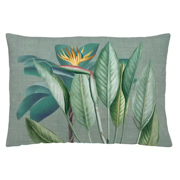 ICEHOME - Funda de Cojin Estampado - Sin Relleno - 50x30 Cm - Algodón Extra Suave - Fabricado en España - SANIA - 1