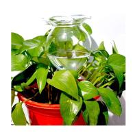 piezas de globo de riego automático para plantas, bombilla de agua de vidrio transparente soplado a mano para interiores - details 2