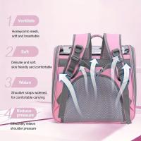 Transportadora plegable para mascotas, Bolsa transprabble portátil de malla, con ventilación, impermeable, para perros y Gatos, fácil de realizar - details 12