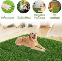 Pataca De Grama Artificial Para Perros Grande Tapete De Inodoros Portátil Para Entrenamiento De Mascotas Material Fibra Lavable Al Agua Ideal Para Exteriores - details 0
