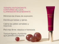 Atashi Antioxidante - Contorno De Ojos Iluminador Regenerante | Reduce Líneas De Expresión, Bolsas Y Ojeras | Con Haloxyl, Vitaminas C, E Y Coq10 | Todo Tipo De Piel |15ml - details 0