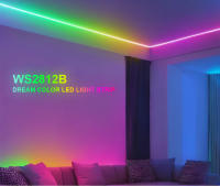 Tira De LED RGBIC WS2812B Inteligente 1m 2m 3m 4m 5m DC 5V Con Adhesivo Trasero Para Decoración De Habitaciones 2020SMD - details 0