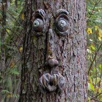 Decoración De Jardín Arte De Escultura De Rostro De Árbol En Resina Caricatura De Anciano Con Caras Y Piernas Para Exterior - details 3