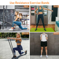 Lixada Set De 5 Bandas De Resistencia Para Ejercicio De Poder Y Estiramiento Con Bolsa De Transporte Adecuado Para Entrenamiento De Muslos Brazos Cintura Y Abdomen - details 2