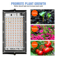 Lámpara De Crecimiento LED Para Plantas 220V Espectro Completo 50W 100W Luz Verde Para Semillas Y Flores En Invernadero IP65 Impermeable - details 6