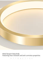 Lámpara De Techo Moderna De Metal LED Para Pasillo Y Escalera Decorativa De Lujo Creativa En Oro Instalación Suelta Fuente De Alimentación AC 220V - details 18