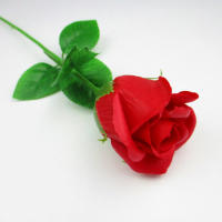 50 Pcs Ramas Para Cabezas De Flores Artificiales Accesorios Para Proyectos De Artesanía Floristería Material De Algodón - details 4
