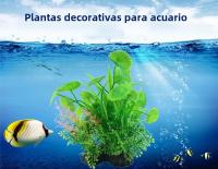 Plantas Artificiales Para Acuario Decoración De Agua Plástico Ornamento De 14cm 12 Especies Para Tanque De Peces Y Accesorios De Jardín - details 0