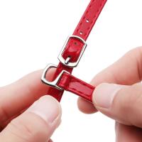 Cordones De Cuero PU Para Mujer Zapatos De Tacón Alto Y Botas Con Hebilla Metálica Accesorios De Cuidado Del Pie - details 12