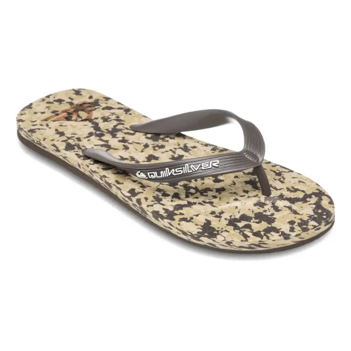 Calzado hombre Chanclas Quiksilver Chanclas Molokai Recycled Beige - 1