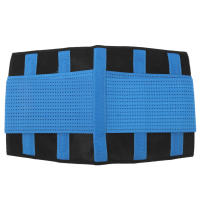Cinturón lumbar ligero, portátil, flexible y transpirable, protección de la cintura. - details 0