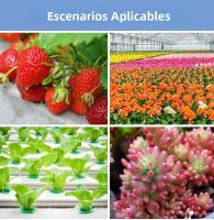 Luz De Cultivo LED 250W Espectro Completo 100-277V Placa Cuántica Para Plantas Invernadero Jaula De Suculentas Frutas Iluminación - details 10