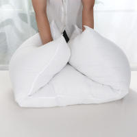 Almohada Interior De Anime Dakimakura En Forma Rectangular Recubrimiento De Poliéster Y Algodón Filling De Fibra Hueca Para Descanso Y Decoración Del Hogar - details 5