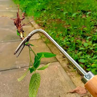 Mano De Hierba De Acero Inoxidable Herramienta De Rastrillo Manual Para Eliminar Malas Hierbas Con Dientes Agudos Para Raizamiento De Grama - details 2