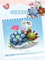 Juguetes De Construcción DIY Para Niñas Y Niños Plantas Suculentas En Macetas Miniatura Bloques De Construcción De Jardín Ornamentos Bonsái - details 2