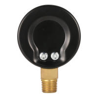 Medidor De Presión De Agua Para Piscina 0~60psi 0~4bar Con Indicador Análogo 1/4" NPT Thread Medidor De Manómetro Hidráulico - details 6