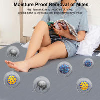 Manta Eléctrica Con Termostato Automático Calefactor De Cama Calentador De Matrícula 220V Para Dormitorio Calentador Rápido - details 7