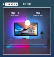Tiras De LED WS2811 RGBIC Inteligentes 24V 5M 10M 15M 20M Control Por Alexa Wifi Luz De Píxel Flexible 5050 Para Decoración De Hogar - details 3
