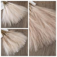 1/5PCS Flor De Pampas Artificial En Estilo INS Alta Calidad Plantas Falsas Para Decoración Bohemia De Hogar Y Jardín Para Dormitorio Y Balcones - details 6