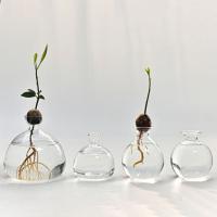 Vaso De Comino Para Cultivo De Semillas Kit De Plantación Con Pegatinas Regalo Para Amantes Del Jardín Material De Vidrio Transparente - details 8