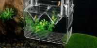 Nueva Incubadora De Peces Paon Azul En Acrílico Caja De Cría Acrílica Para Acuarios Tropicales Separador De Betta Tank Spawner Alec - details 1